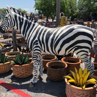 This Beautiful Zebra Is Over 6ft Tall Almost 8ft Long, And Would Make A Prefect Addition To Any Yard.