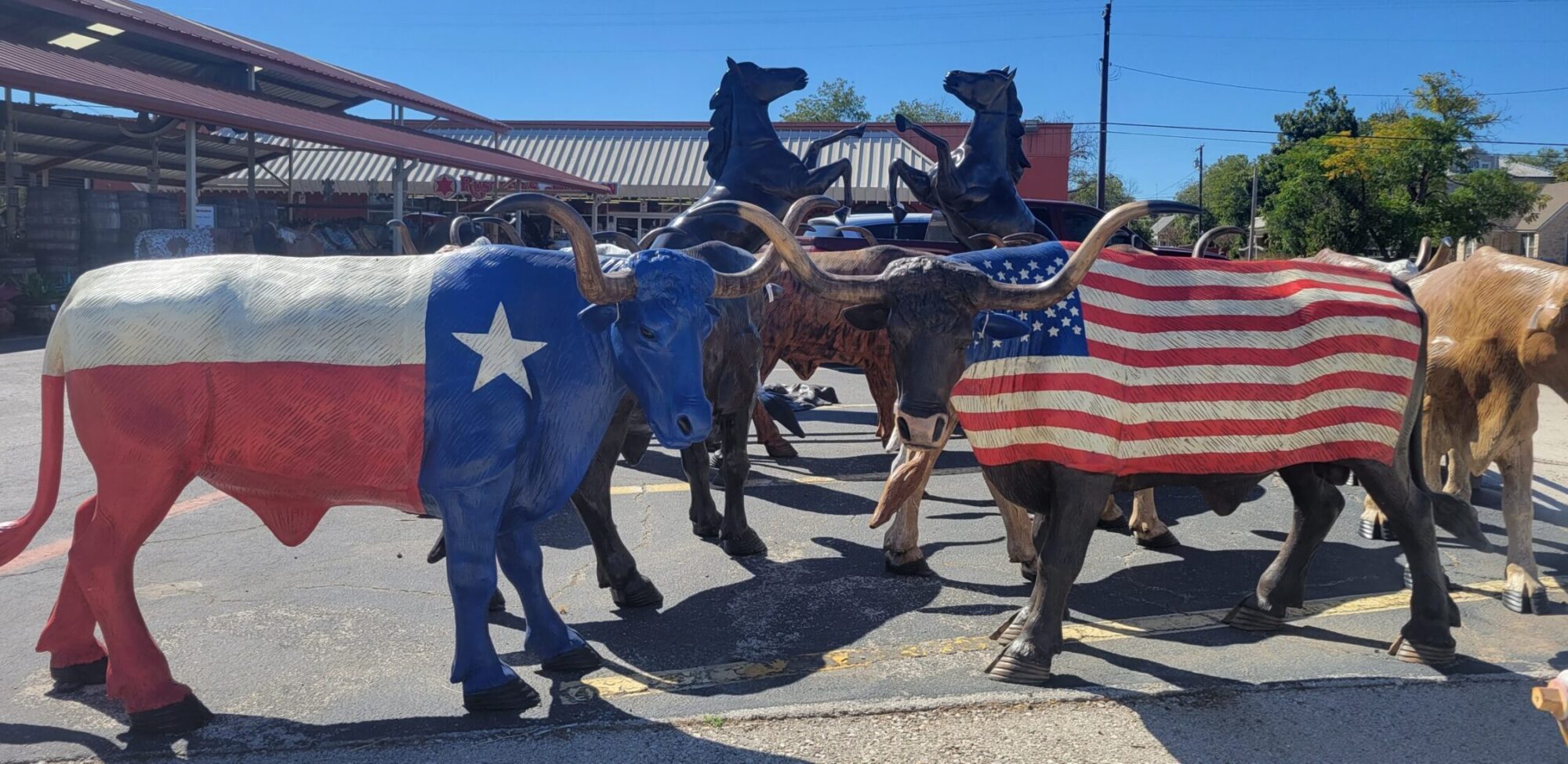 Lifesize heavy-cast longhorns painted to represent the Texas and American Flags. Available for sale or order at Rustler's Junction.