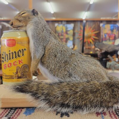 This Taxidermized Drunk Squirrel Would Be A Great Bar Buddy!