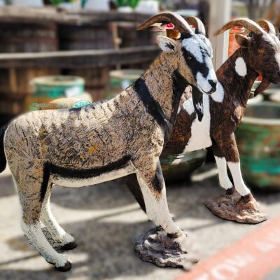 Custom Painted Goat Pair On Rock Standing At 38 Inches Tall.