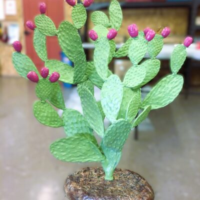 We Can't Keep These In Stock! Call Today To Purchase Your Prickly Pears Before They're Gone Or Order Your Own Custom Painted.