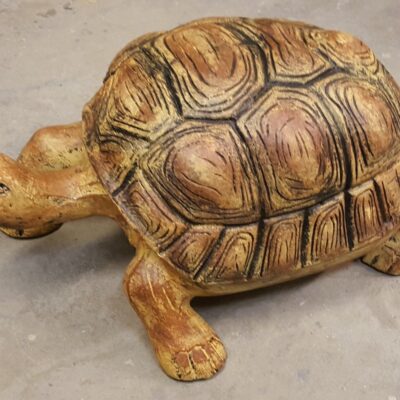 Our Tabletop Turtles Come In A Variety Of Sizes - This Being The Largest At 21 Inches.