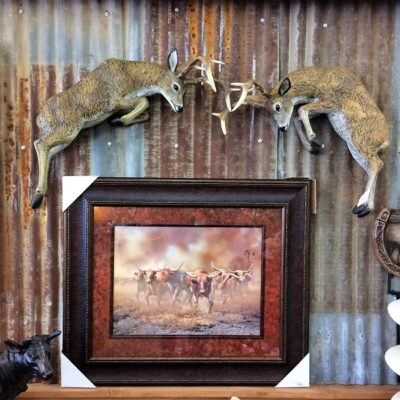 Heavy Cast Aluminum Deer That Can Be Mounted On The Wall Indoor Or Outdoors!